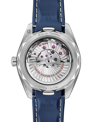 Seamaster Aqua Terra 150M 41 mm on Rubber Bracelet