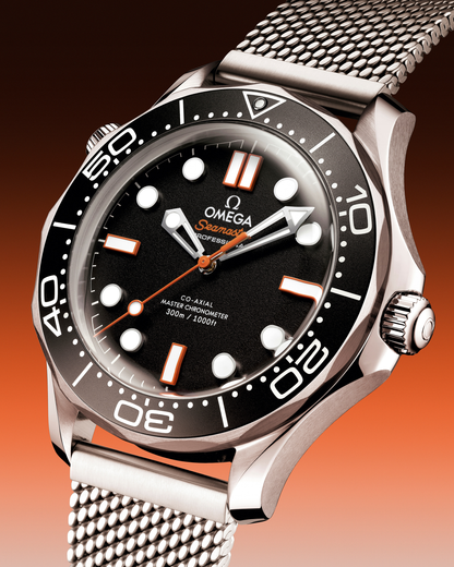 Seamaster Diver 300M 42 mm Steel on Steel